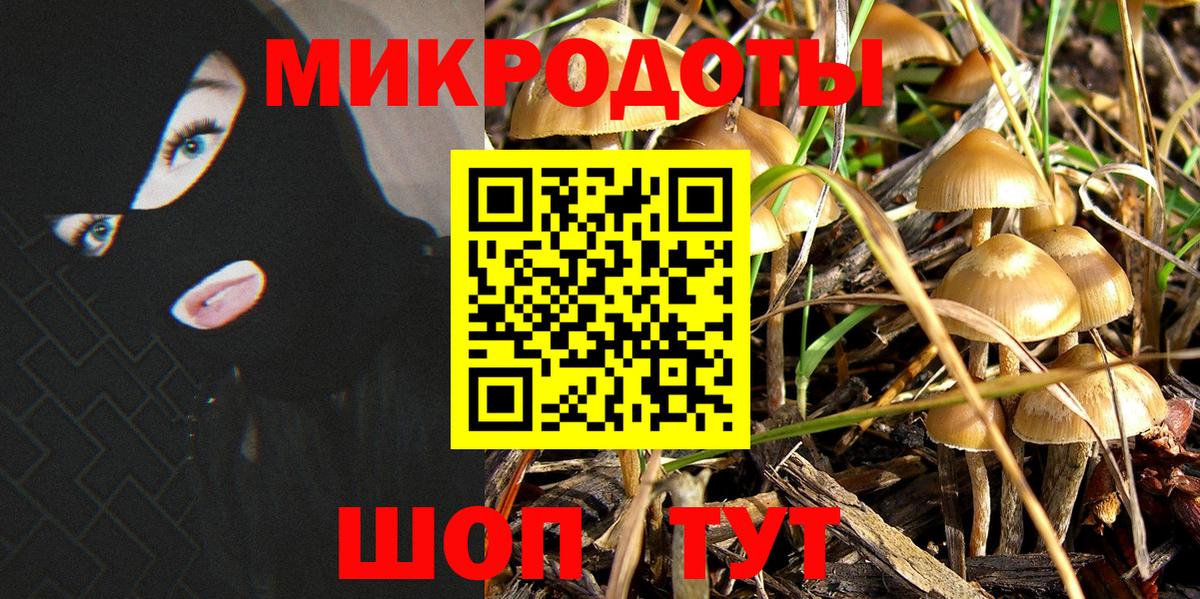 Галлюциногенные грибы Cubensis  Галлюциногенные грибы мицелий  Кунгур  магазин    Вход с VPN 